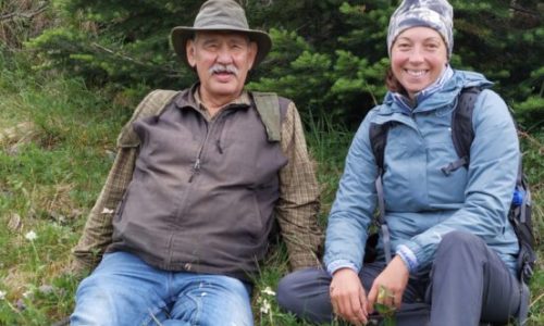 image-14-1-553×400 image-14-1-553x400