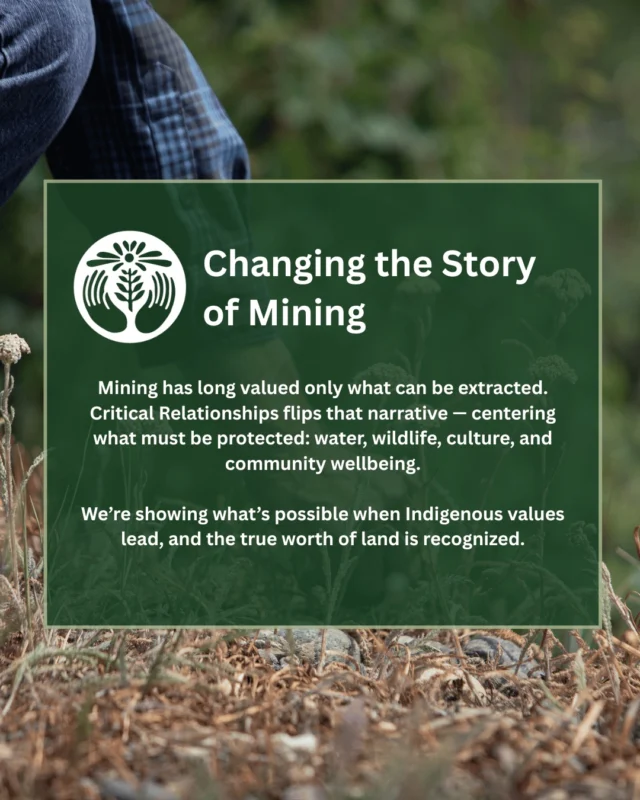 ⛏️💭 What if the real gold was the land itself?For too long, mining has focused only on what's underground. Critical Relationships is changing the story — led by Indigenous values, we’re showing that clean water, wildlife, and cultural knowledge are just as important as any resource.This is what leadership rooted in land, spirit, and future generations looks like.#CriticalRelationships #TahltanStrong #IndigenousLeadership #ReimagineMining #ProtectWhatMatters #LandFirst #TrueValue